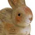 Floristik24 Keramický králik príroda 7cm x 8cm 6ks