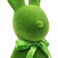Floristik24 Zajačik v stáde zelený, výška 42 cm