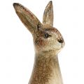 Floristik24 Deco králik hnedá keramika 5cm x 12,5cm