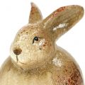 Floristik24 Deco králik hnedá keramika 5cm x 7cm