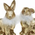Floristik24 Zlatý králik sediaci terakota zlatej farby s pierkami V20cm 2ks