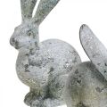 Floristik24 Ozdobný králik, záhradná figúrka v betónovom vzhľade, shabby chic, veľkonočná dekorácia so striebornými akcentmi V21/14cm sada 2 kusov