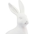 Floristik24 Sediaci králik dekoračný králik dekor z umelého kameňa biela V27cm