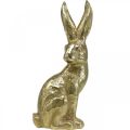 Floristik24 Dekorácia zajačik veľký veľkonočný zajačik sediaci zlatý 22×17×51,5cm