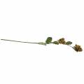 Orieškový konár zelený/hnedý 84cm | Floristik24.sk