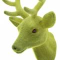Floristik24 Deko hlava jeleňa vločkovaná machová zelená 10cm x 20cm 3ks