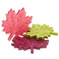 Floristik24 Drevo javorového listu na posyp rôznych farieb 4cm 72 kusov
