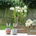 Floristik24 Drevený zajačik vo vajíčku, jarná dekorácia, zajačik s pohárikmi, veľkonočný zajačik 3ks
