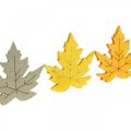 Floristik24 Bodová dekorácia jeseň, javorové listy, jesenné listy zlatá, oranžová, žltá 4cm 72b