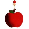 Floristik24 Krabie jablko na zavesenie 7cm červené 24p
