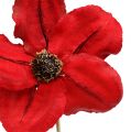 Floristik24 Drevená kvetinka ako zátka červená Ø9cm - 12cm L45cm 15ks