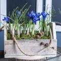 Floristik24 Drevený box na sadenie, box na náradie, box na rastliny s rúčkou, drevená dekorácia 30cm