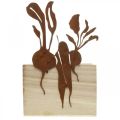 Floristik24 Drevená debnička na rastliny s hrdzavou dekoráciou hrnček na zeleninu 17×17×12cm