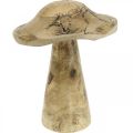 Floristik24 Drevená huba so vzorom drevená dekorácia huba prírodná, zlatá Ø12,5cm V15cm