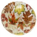 Floristik24 Drevená hubová dekorácia jesenné lístie biela, farebná jesenná dekorácia Ø13cm V19cm