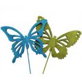 Floristik24 Drevený motýľ s drôteným zadkom. 8 cm x 6 cm, dĺžka 28 cm