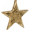 Floristik24 Hviezda na zavesenie, drevená dekorácia so zlatým efektom, adventná 14cm × 14cm
