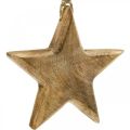 Floristik24 Ozdobná hviezda, drevený prívesok, vianočná dekorácia 14cm × 14cm