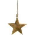 Floristik24 Ozdobná hviezda, drevený prívesok, vianočná dekorácia 14cm × 14cm