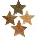 Floristik24 Drevené hviezdičky rozptylová dekorácia hviezda Vianočná príroda lesk V5cm 12 kusov
