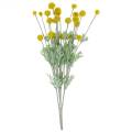 Floristik24 Palička na stehná žlté umelé kvety Craspedia hodváb