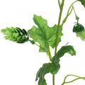 Floristik24 Chmeľová girlanda, záhradná dekorácia, umelá rastlina, letná 185cm zelená