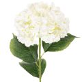 Floristik24 Umelý kvet hortenzie s dlhou stonkou 60 cm