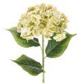 Floristik24 Umelý kvet hortenzie s dlhou stonkou a listami, 60 cm