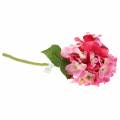 Floristik24 Umelý kvet hortenzie ružová 36cm