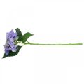 Floristik24 Ozdobná hortenzia, hodvábny kvet, umelá rastlina fialová L44cm