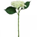 Floristik24 Hydrangea Silk Flower Umelý kvet na dekoráciu stola Biela Zelená L44cm