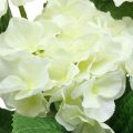 Floristik24 Hortenzia umelé biele hodvábne kvety kytica letná dekorácia 42cm