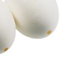 Floristik24 Slepačie vaječné biele 10ks