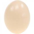Floristik24 Krém z kuracieho vajca Veľkonočná dekorácia Vyfúknuté vajíčka 10ks
