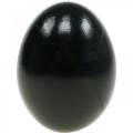 Floristik24 Slepačie vajíčka Čierna veľkonočná dekorácia Vyfúknuté vajíčka 10ks