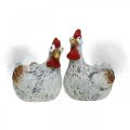 Floristik24 Veľkonočné sliepky Funny Chickens Deco Ceramic 4ks