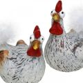 Floristik24 Veľkonočné sliepky Funny Chickens Deco Ceramic 4ks