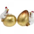 Floristik24 Ozdobné kuriatka s veľkonočným vajíčkom, kuriatka, zlaté vajíčko, veľkonočná dekorácia V12/11cm sada 2ks