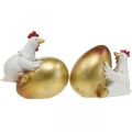 Floristik24 Ozdobné kuriatka s veľkonočným vajíčkom, kuriatka, zlaté vajíčko, veľkonočná dekorácia V12/11cm sada 2ks