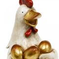 Floristik24 Veľkonočné kuriatko, ozdobná sliepočka, kuriatko so zlatými vajíčkami, veľkonočná figúrka V24cm