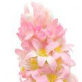 Floristik24 Hyacint Real-Touch Pink 40 cm