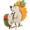 Floristik24 Kvetinová tyčinka ježko s detskou jesennou dekoráciou drevo 8,5cm 8ks