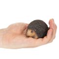 Dekoratívna figúrka ježka, malá stolová dekorácia na jeseň, 8 cm | Floristik24.sk