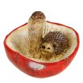 Floristik24 Ozdobná figúrka ježka na hríbik červeno-biela V6cm