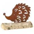 Floristik24 Patina ježka na drevenom podstavci 14,5cm x 17,5cm