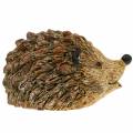 Floristik24 Ozdobná figúrka ježko prírodná 6,5cm