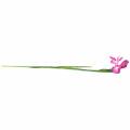Floristik24 Iris umelý ružový 78cm