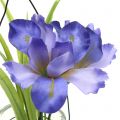 Floristik24 Iris fialový v pohári na zavesenie V21,5cm