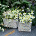 Floristik24 Debničky na sadenie, drevená dekorácia, dekoratívna krabička s včielkami, jarná dekorácia, shabby chic L15/12cm H10cm sada 2ks