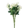 Floristik24 Harmanček lúčne kvety umelé biele 58cm 4ks